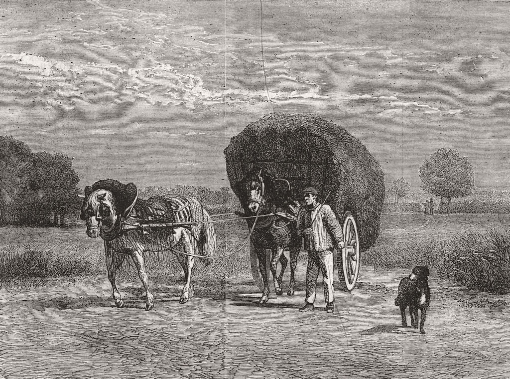 FARMING. The Hay-cart 1859 old antique vintage print picture
